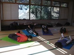 弓の回転