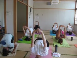 ヨガのポーズ