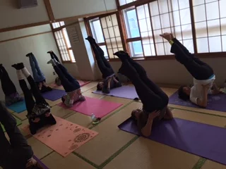 横須賀深田台でのヨガレッスン風景