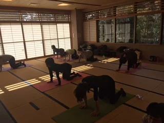 横須賀池上でのヨガレッスン風景