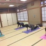 横須賀汐入でのヨガレッスン風景